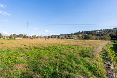 Terreno para Venda em Adaufe