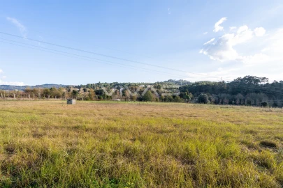 Terreno para Venda em Adaufe