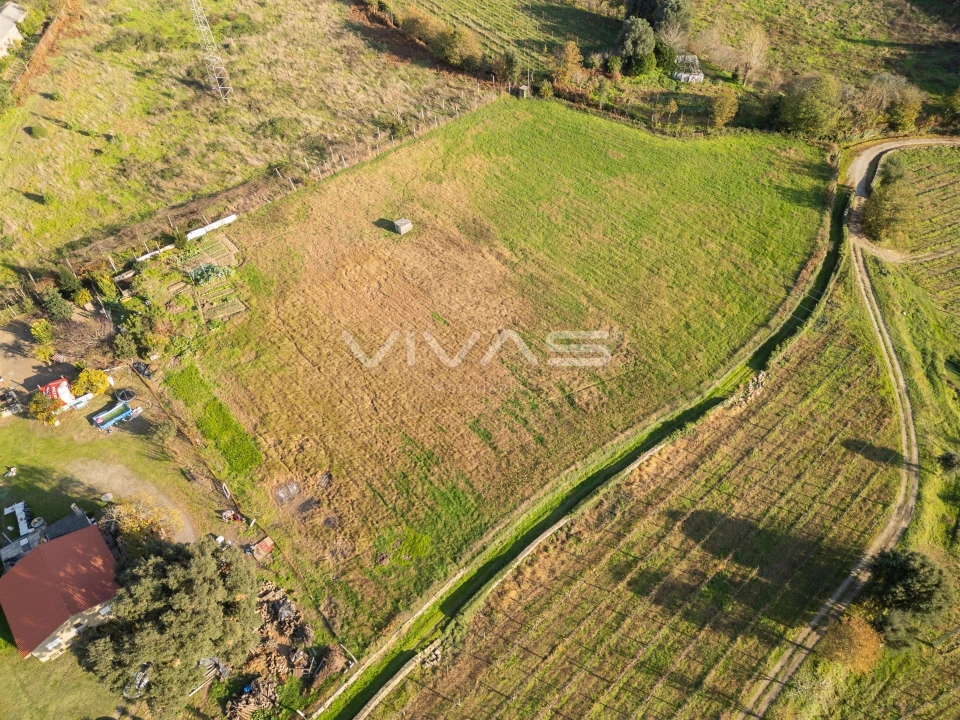 Terreno para Venda em Adaufe Foto 12