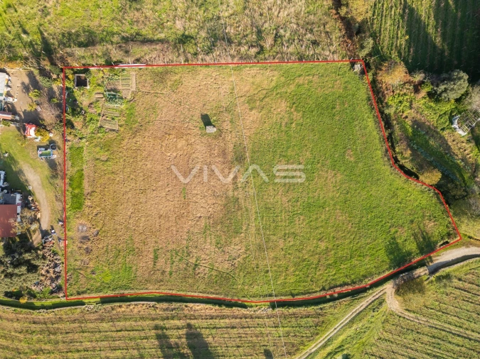 Terreno para Venda em Adaufe Foto 5