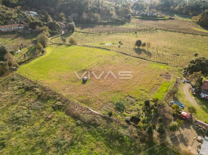 Terreno para Venda em Adaufe Foto 9