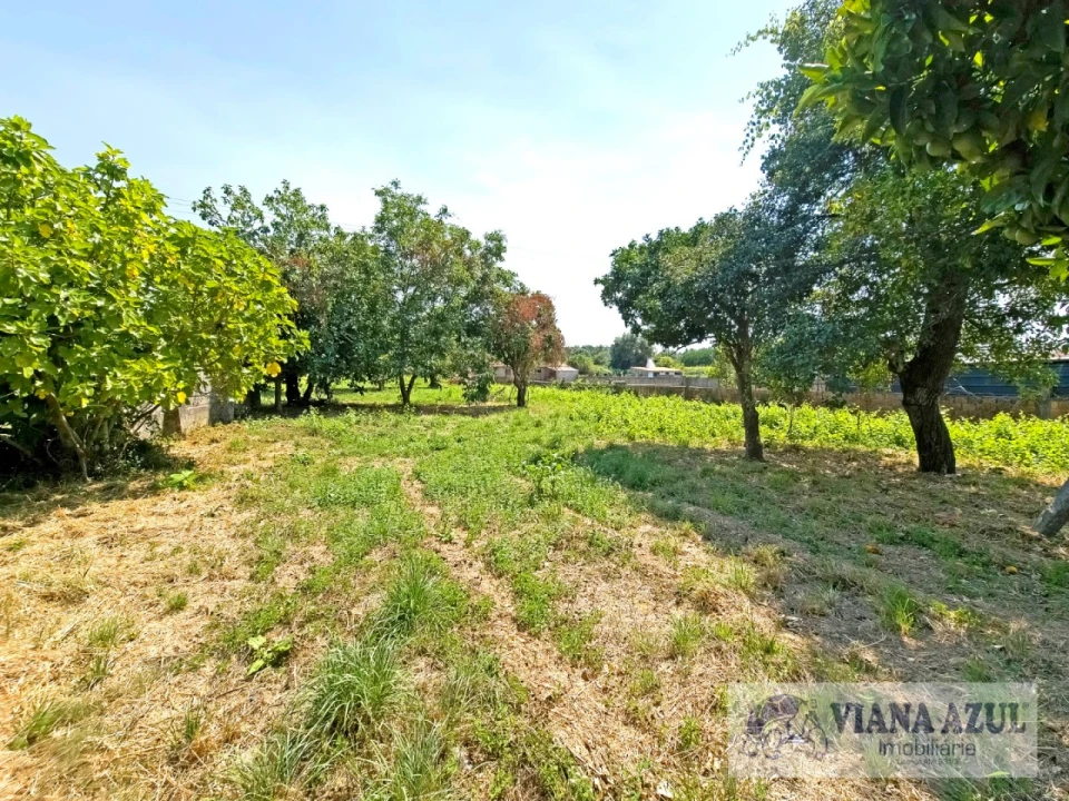 Quinta T4 para Venda em Vila Franca Foto 31