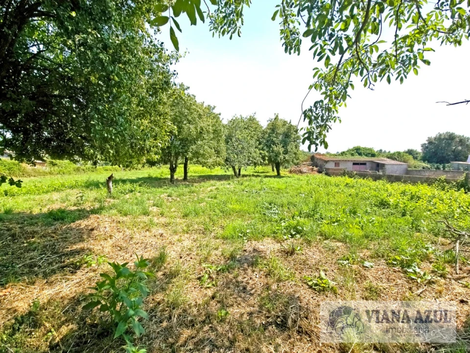 Quinta T4 para Venda em Vila Franca Foto 32