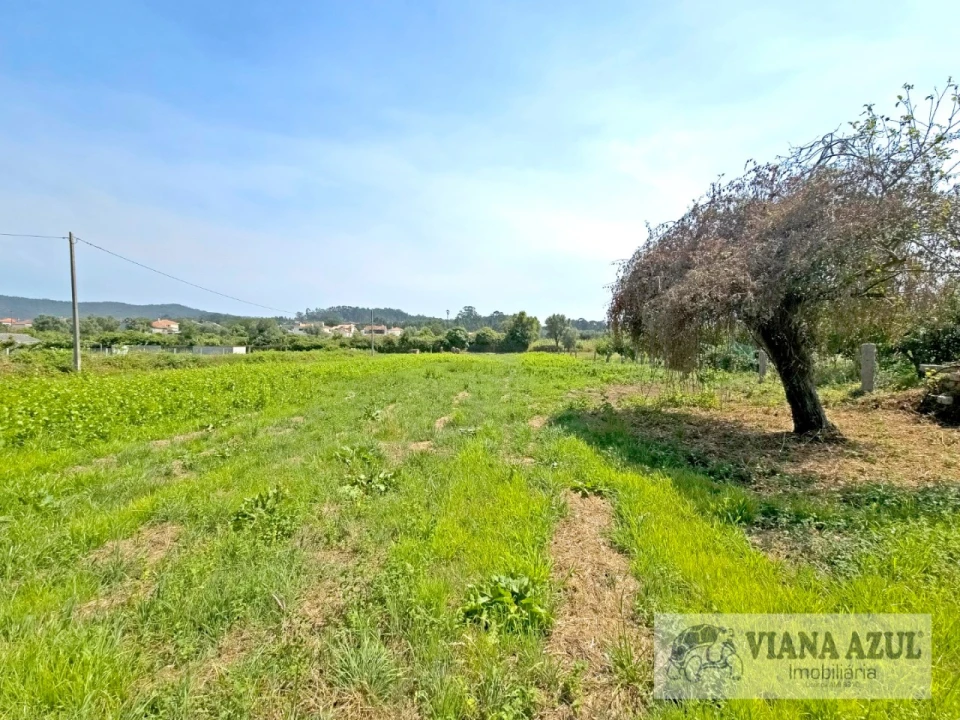 Quinta T4 para Venda em Vila Franca Foto 34