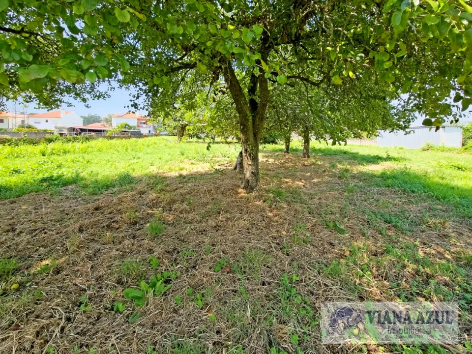 Quinta T4 para Venda em Vila Franca Foto 35