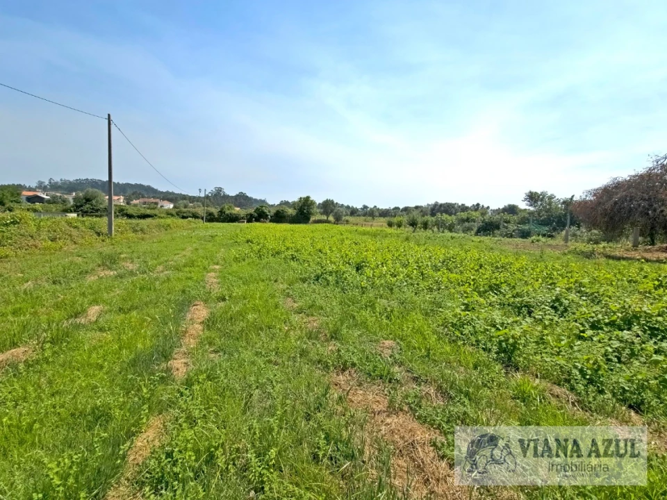 Quinta T4 para Venda em Vila Franca Foto 37