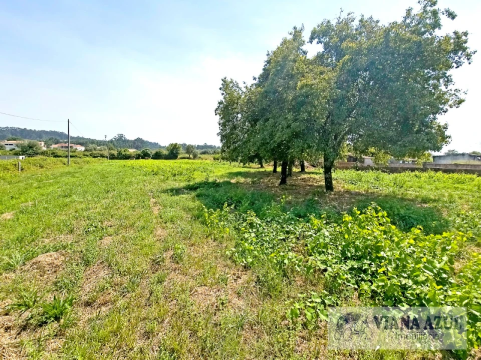 Quinta T4 para Venda em Vila Franca Foto 38