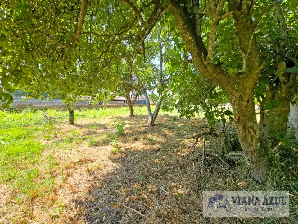 Quinta T4 para Venda em Vila Franca Foto 39