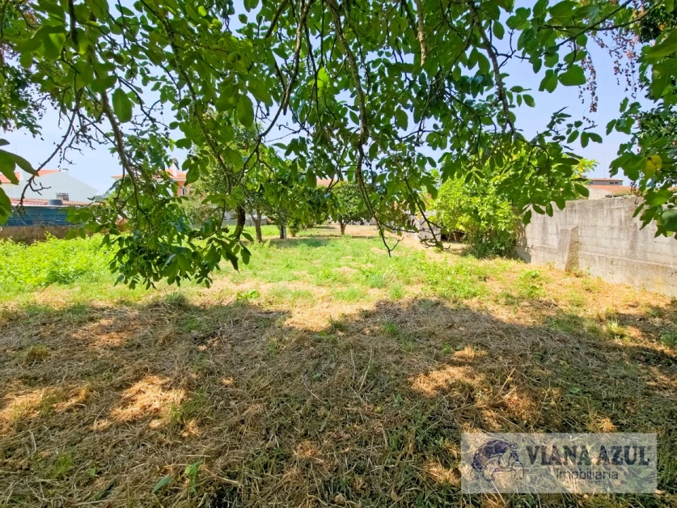 Quinta T4 para Venda em Vila Franca Foto 40