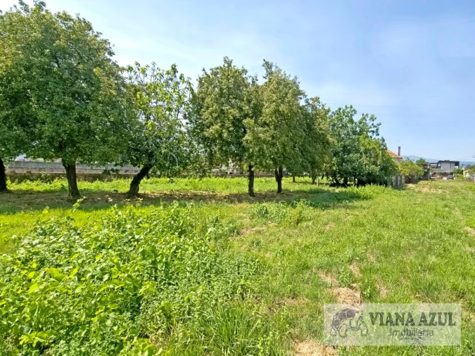 Quinta T4 para Venda em Vila Franca Foto 36