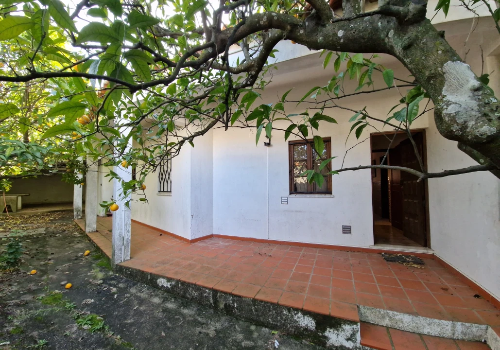 Moradia T2 para Venda em Ribeira de Nisa e Carreiras Foto 19