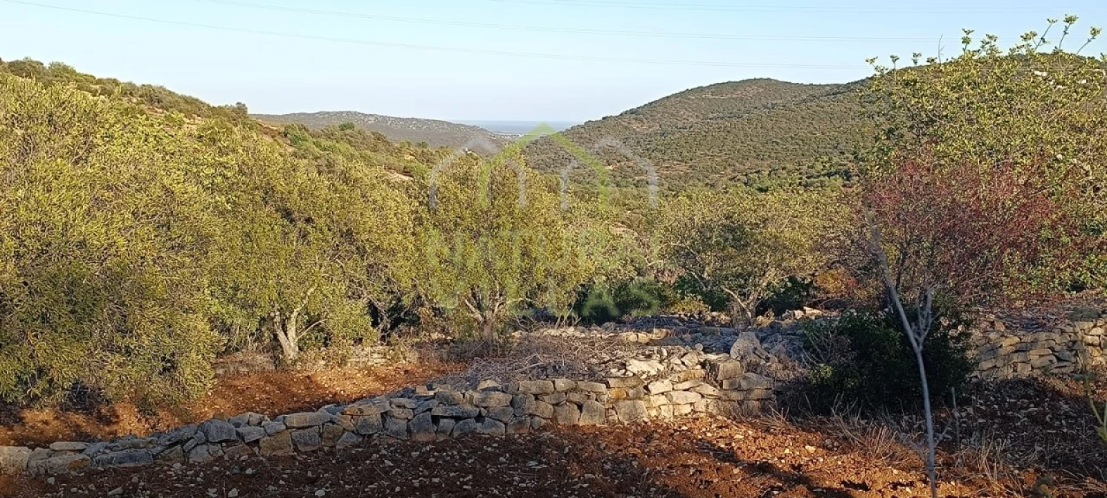 Terreno Agricola ou Rústico para Venda em Conceição e Estoi Foto 1