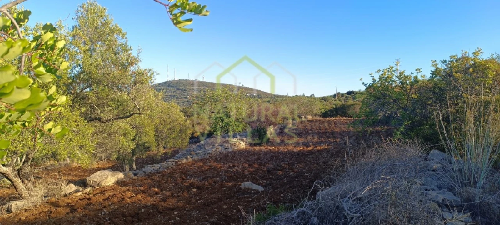 Terreno Agricola ou Rústico para Venda em Conceição e Estoi Foto 5