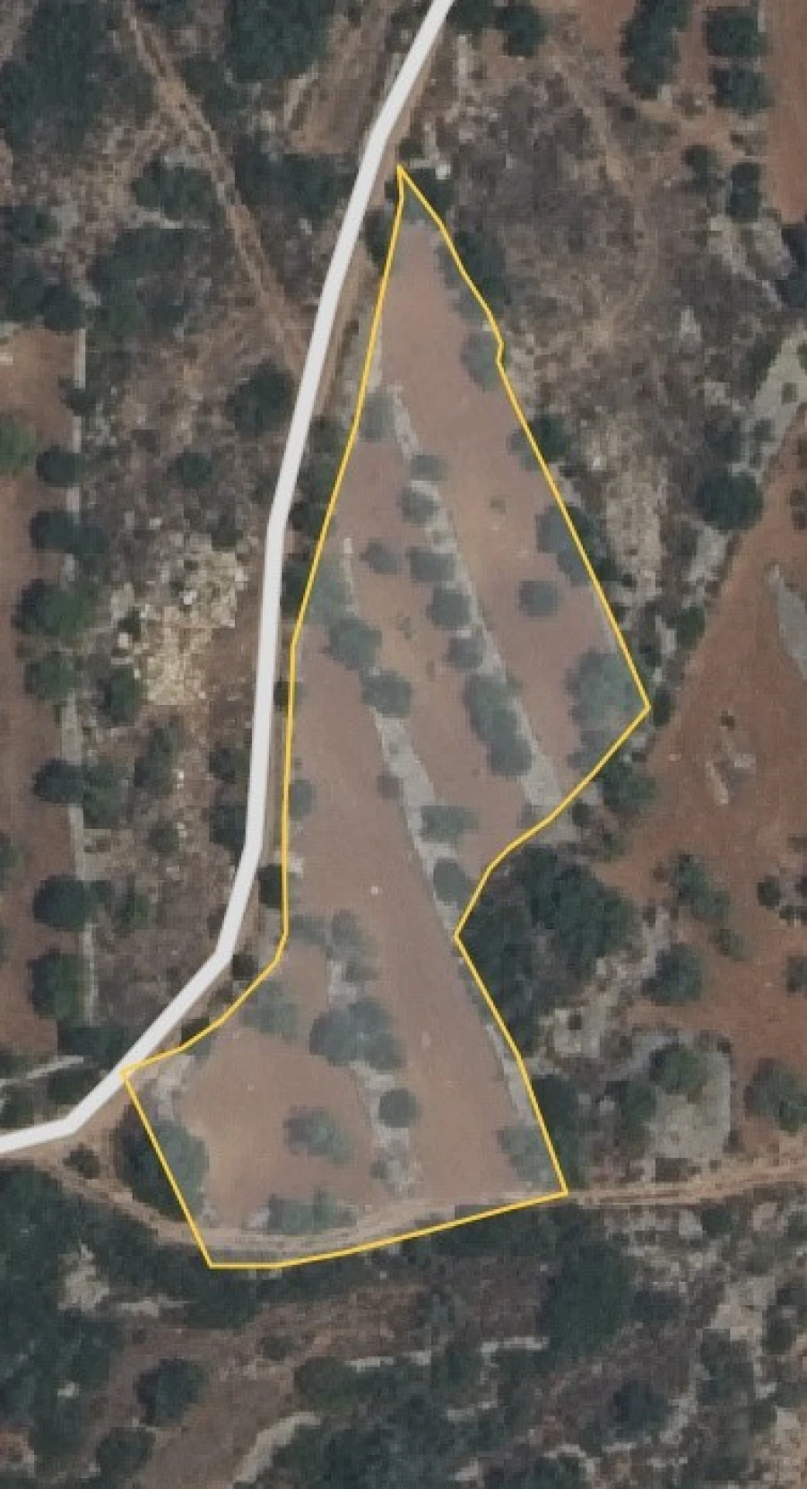 Terreno Agricola ou Rústico para Venda em Conceição e Estoi Planta 1
