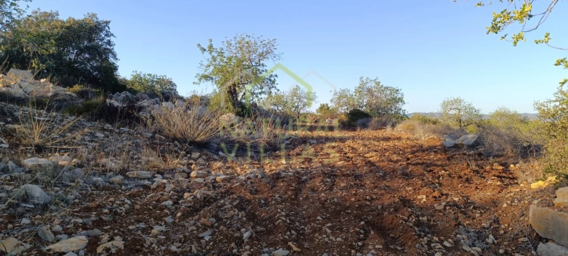 Terreno Agricola ou Rústico para Venda em Conceição e Estoi Foto 3