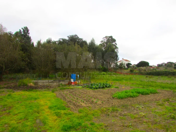 Terreno para Venda em Ramalhal Foto 2