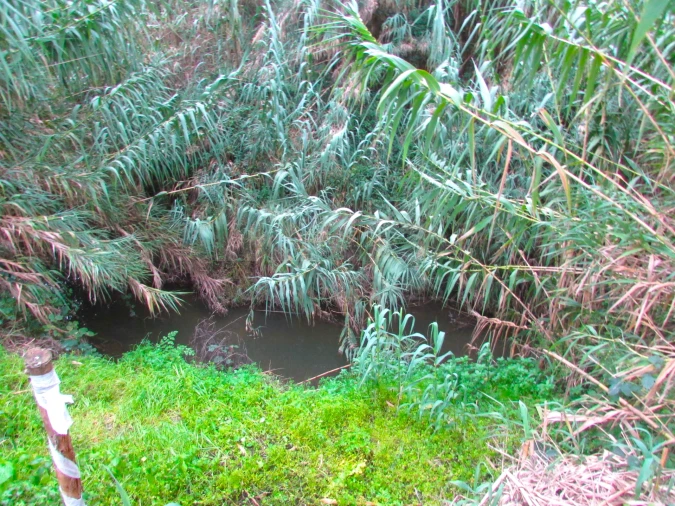 Terreno para Venda em Ramalhal Foto 6