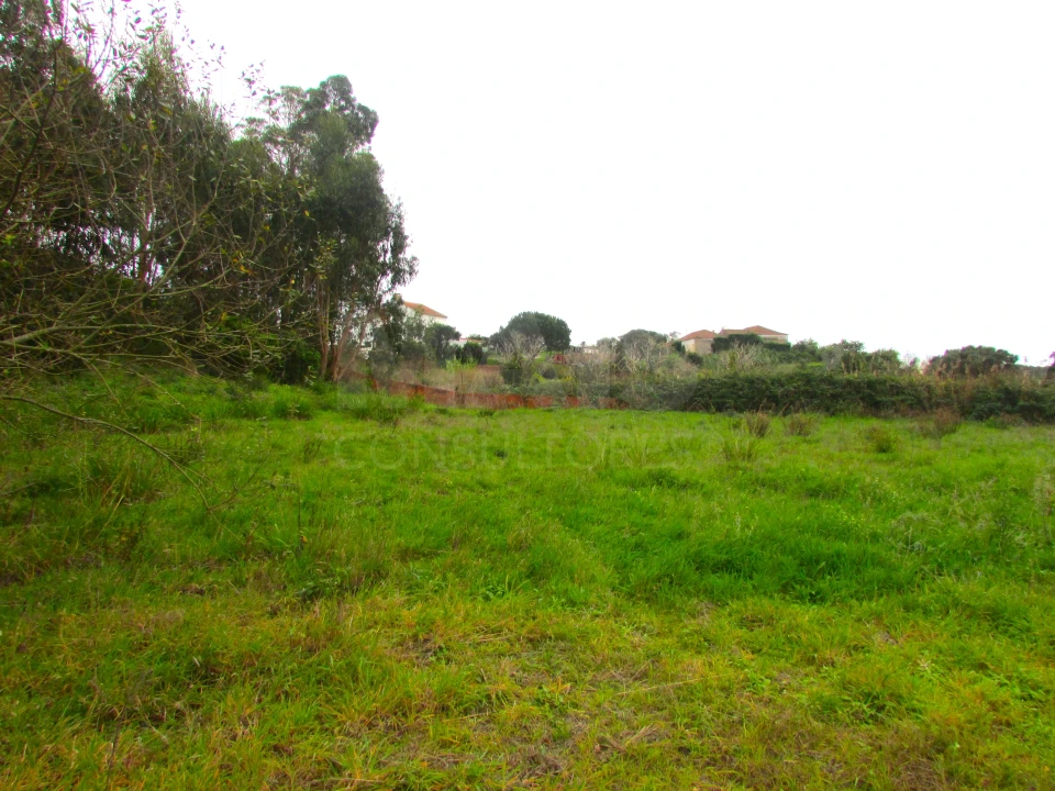 Terreno para Venda em Ramalhal Foto 7