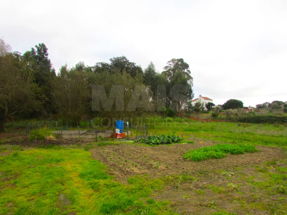 Terreno para Venda em Ramalhal Foto 2