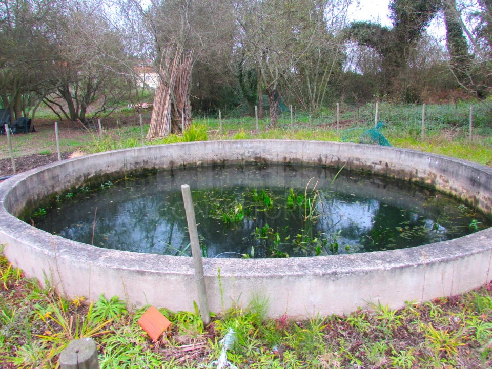 Terreno para Venda em Ramalhal Foto 5