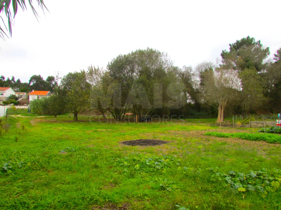 Terreno para Venda em Ramalhal Foto 3