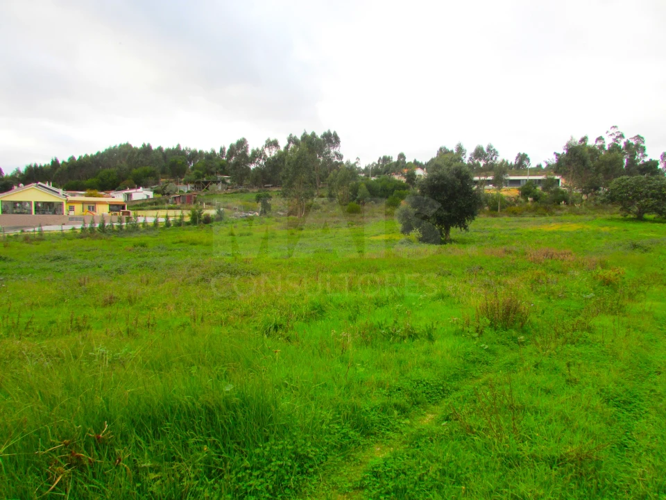 Terreno para Venda em Ramalhal Foto 7