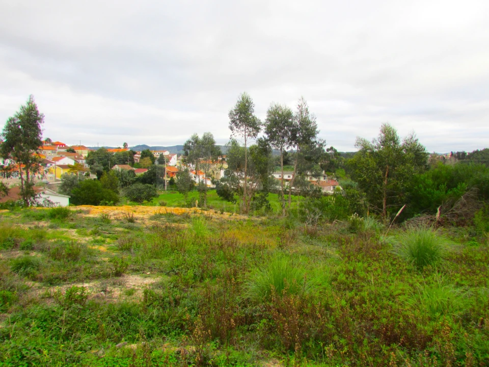 Terreno para Venda em Ramalhal Foto 4