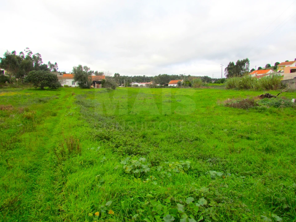 Terreno para Venda em Ramalhal Foto 6
