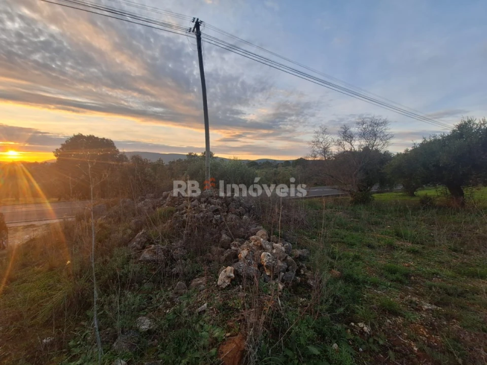 Terreno para Venda em Assentiz Foto 2