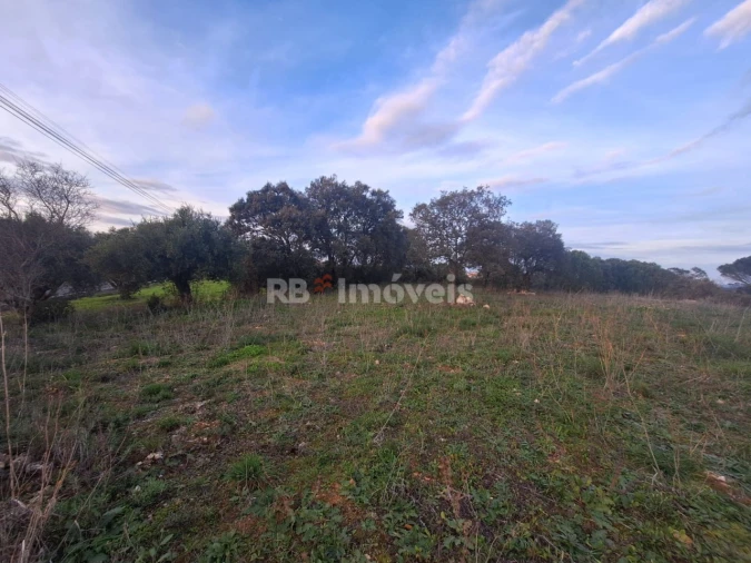 Terreno para Venda em Assentiz Foto 3