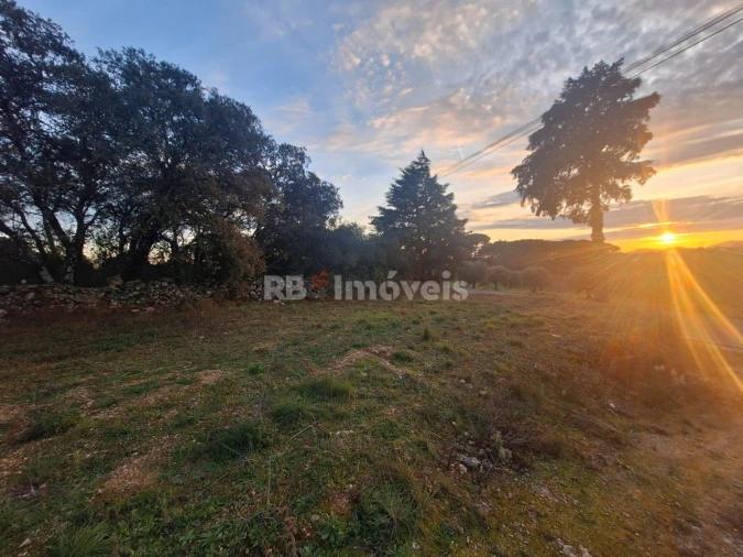 Terreno para Venda em Assentiz Foto 1