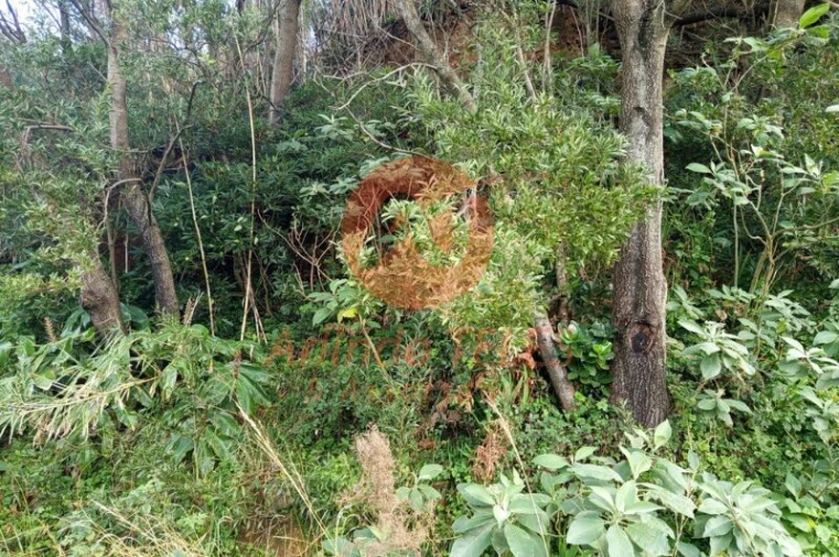 Moradia T2 para Venda em Agualva Foto 15