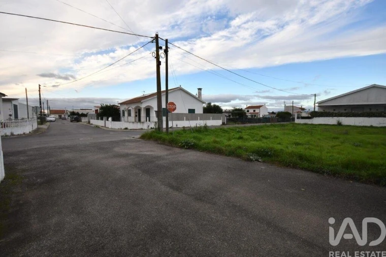 Terreno para Venda em Azinhaga Foto 19