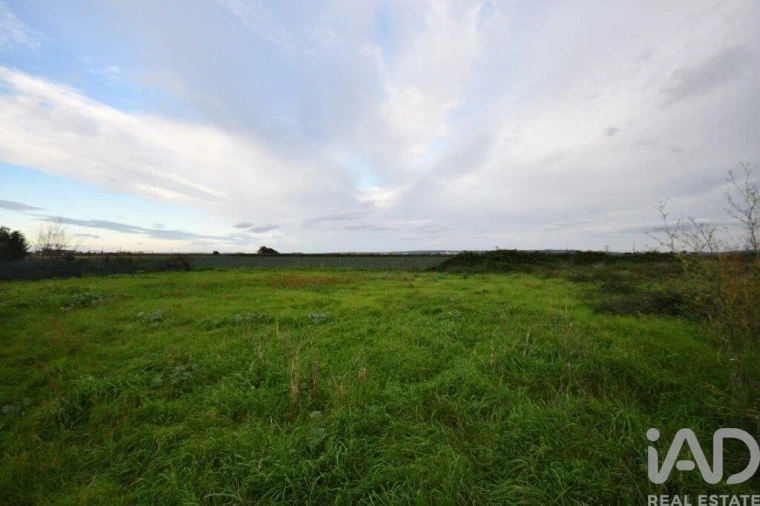 Terreno para Venda em Azinhaga Foto 18