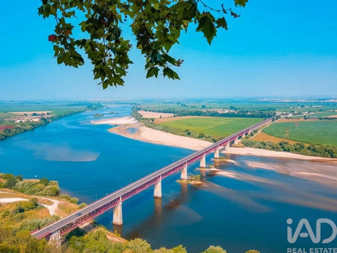 Terreno para Venda em Azinhaga Foto 30