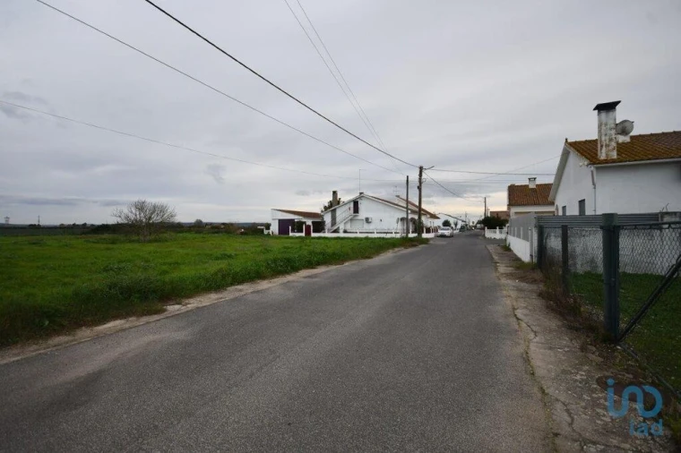 Terreno para Venda em Azinhaga Foto 13