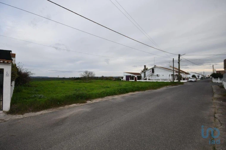 Terreno para Venda em Azinhaga Foto 11