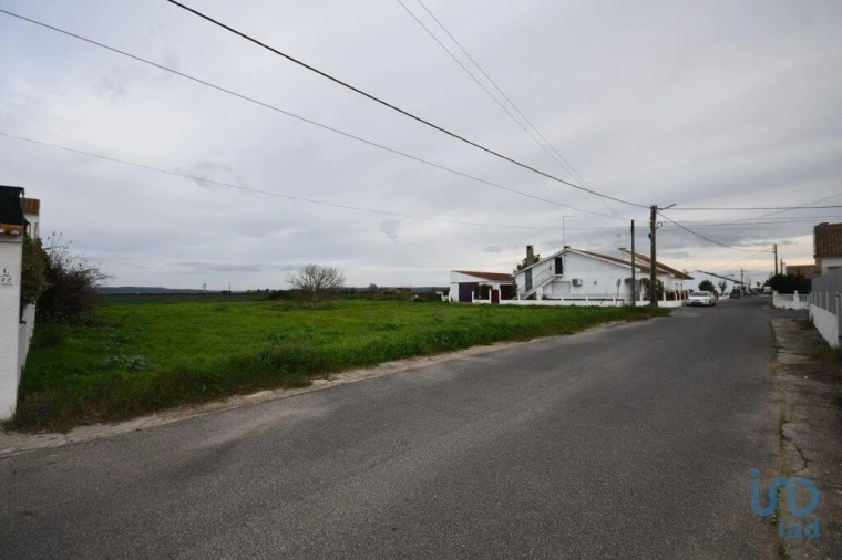 Terreno para Venda em Azinhaga Foto 12