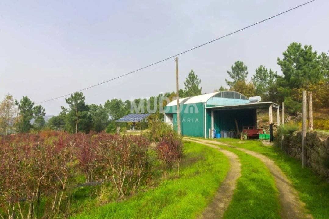 Quinta T3 para Venda em Oliveira do Douro Foto 17