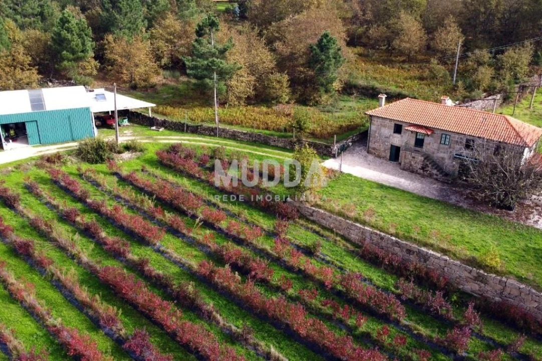 Quinta T3 para Venda em Oliveira do Douro Foto 30