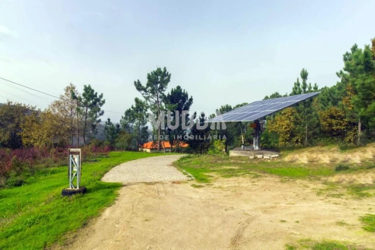 Quinta T3 para Venda em Oliveira do Douro Foto 20