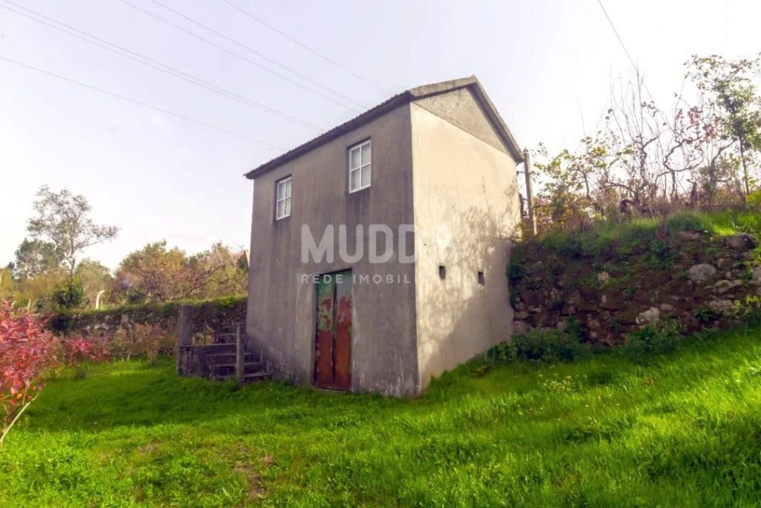 Quinta T3 para Venda em Oliveira do Douro Foto 3