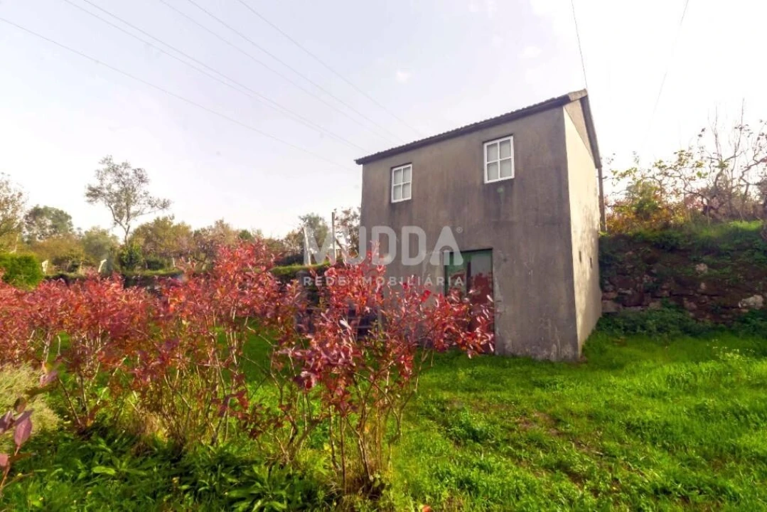 Quinta T3 para Venda em Oliveira do Douro Foto 4