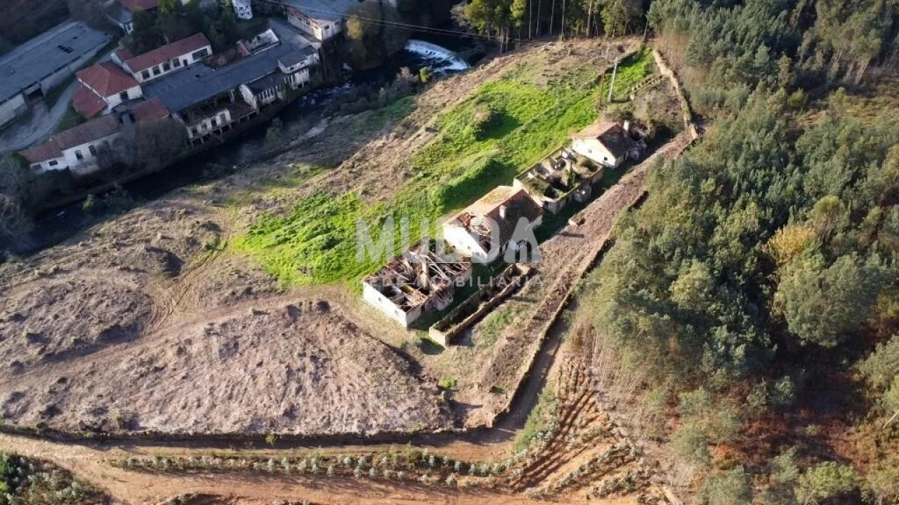 Quinta T2 para Venda em Pinheiro da Bemposta, Travanca e Palmaz Foto 3
