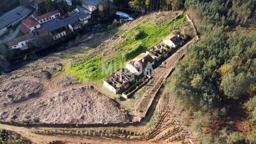 Quinta T2 para Venda em Pinheiro da Bemposta, Travanca e Palmaz Foto 3