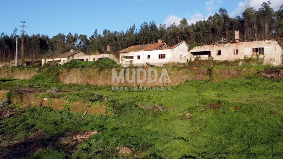 Quinta T2 para Venda em Pinheiro da Bemposta, Travanca e Palmaz Foto 9