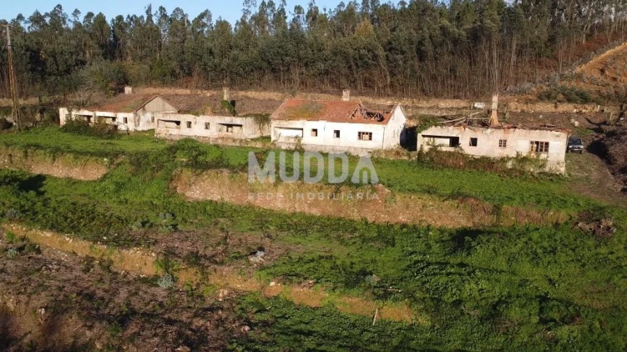 Quinta T2 para Venda em Pinheiro da Bemposta, Travanca e Palmaz Foto 12