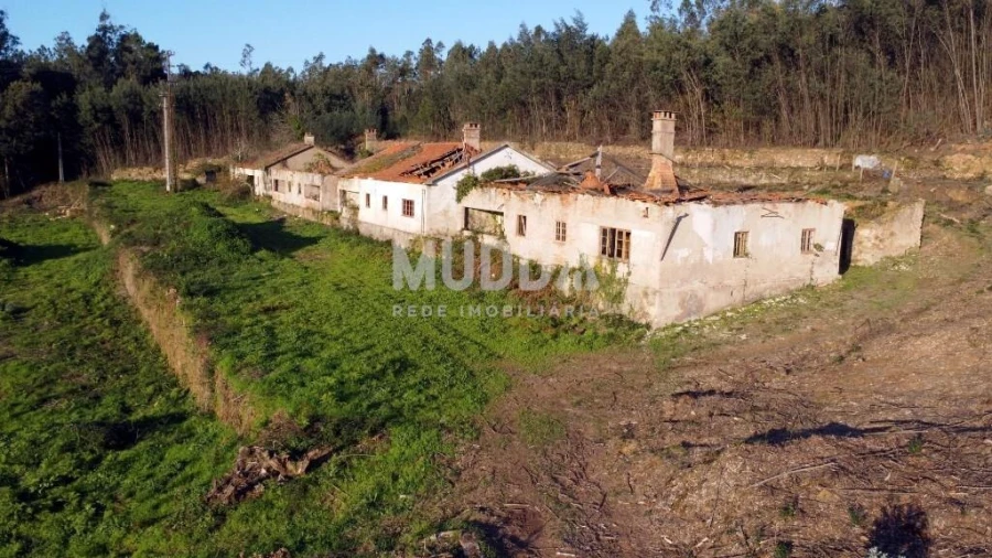 Quinta T2 para Venda em Pinheiro da Bemposta, Travanca e Palmaz Foto 1