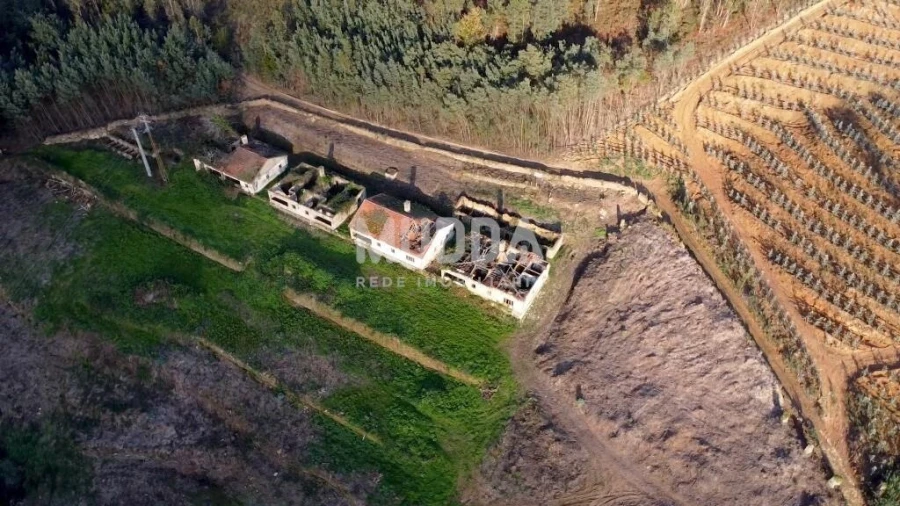 Quinta T2 para Venda em Pinheiro da Bemposta, Travanca e Palmaz Foto 6