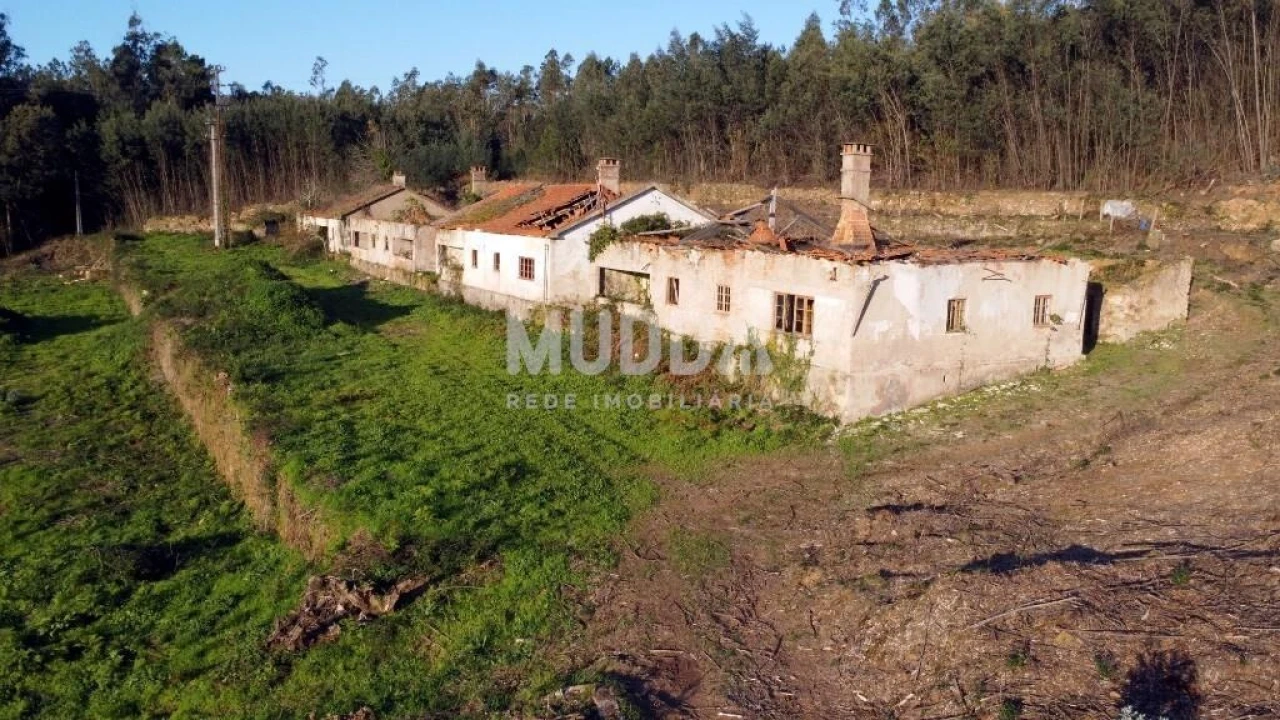 Quinta T2 para Venda em Pinheiro da Bemposta, Travanca e Palmaz Foto 1